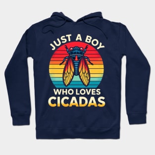 Just a Boy Who Loves Cicadas Hoodie